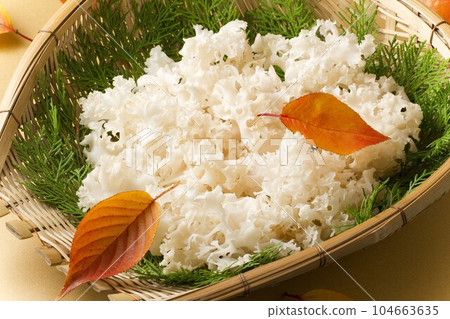 漏勺中的魷魚蘑菇 漏勺中的魷魚蘑菇 104663635