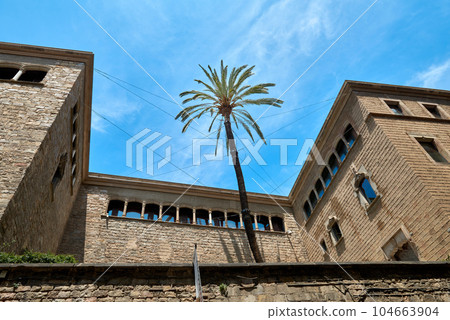 palm tree, sky and Barcelona cathedral Spain, Barcelona - June 1, 2023 104663904