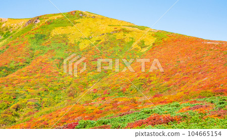 Mt. Kurikoma mountain climbing in autumn (the summit seen from the central course) 104665154