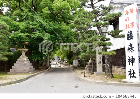 伏見區:富士之森神社南門鳥居和新綠 伏見區:富士之森神社南門鳥居和新綠 104665443