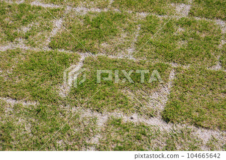 在Gojibari花園裡鋪上草坪 104665642