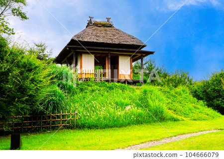 初夏的梅花茶館 104666079