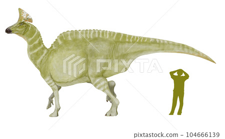 Olorotitan A large hadrosaurus of the subfamily Lambeosaurus with an ax-shaped crest 104666139