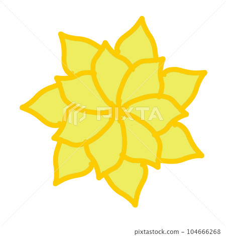 flower crown of thorns flower crown of thorns 104666268