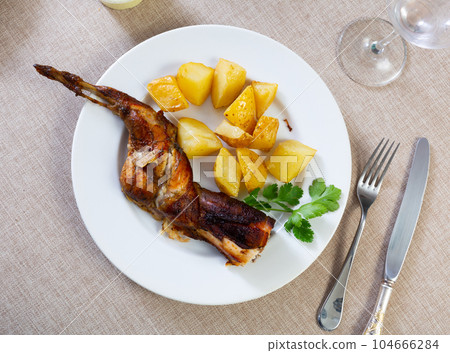 Grilled rabbit served in the plate Grilled rabbit served in the plate 104666284