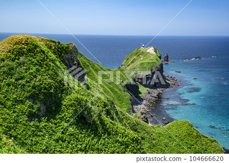 積丹藍和神威岬 104666620