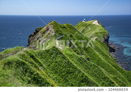 積丹藍和神威岬 積丹藍和神威岬 104666659