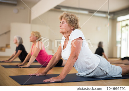 Group of elderly women performs an exercise in the dog pose face up Group of elderly women performs an exercise in the dog pose face up 104666791