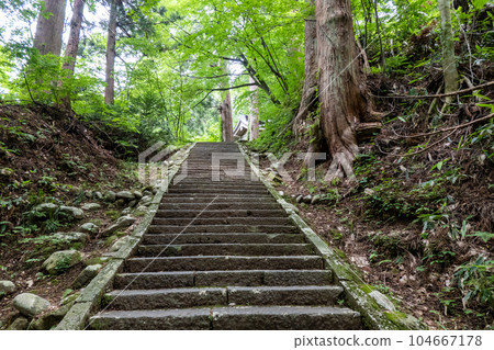 山形縣鶴岡市“出羽三山修驗道(羽黑山)” 山形縣鶴岡市“出羽三山修驗道(羽黑山)” 104667178