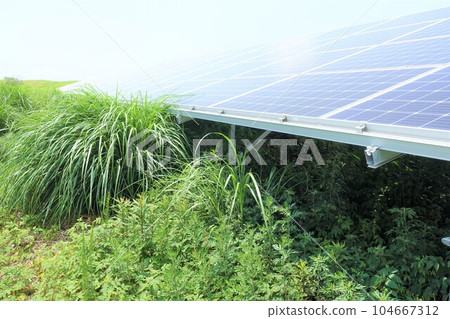 太陽能發電廠被雜草包圍 104667312