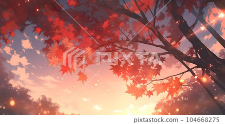 秋葉和日落 104668275