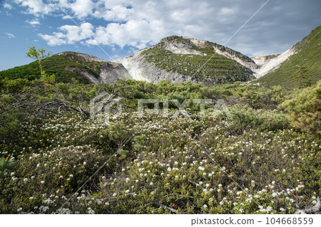 Mt. Io and Ezoisotsutsuji 104668559