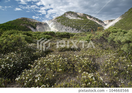 Mt. Io and Ezoisotsutsuji Mt. Io and Ezoisotsutsuji 104668566