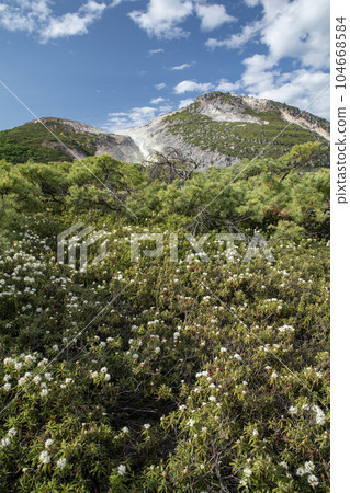 Mt. Io and Ezoisotsutsuji 104668584