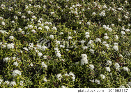 伊王山和蝦夷辻寺 104668587