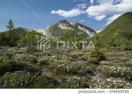 Mt. Io and Ezoisotsutsuji 104668590