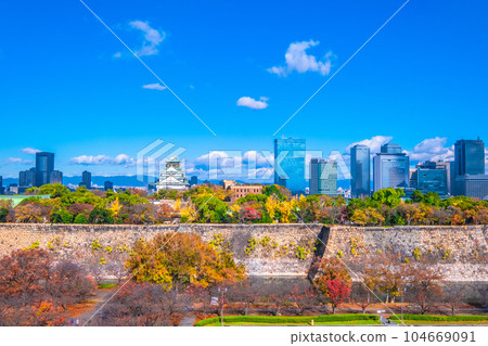 在大阪城公園的秋葉 在大阪城公園的秋葉 104669091