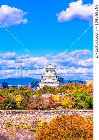 在大阪城公園的秋葉 在大阪城公園的秋葉 104669265