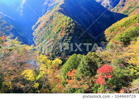 [德島縣] 晴好時的紅葉（日野路溪谷） 104669729