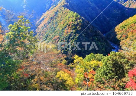 [德島縣] 晴好時的紅葉（日野路溪谷） 104669733