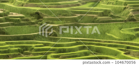Terraced plantation poster Chinese rice fields 104670056