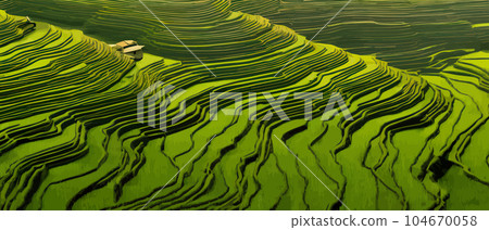 Terraced plantation poster Chinese rice fields 104670058