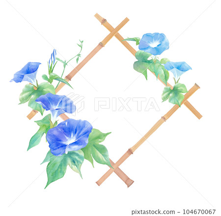 Watercolor illustration of morning glory and bamboo lattice frame. Summer title or headline decoration design. 104670067