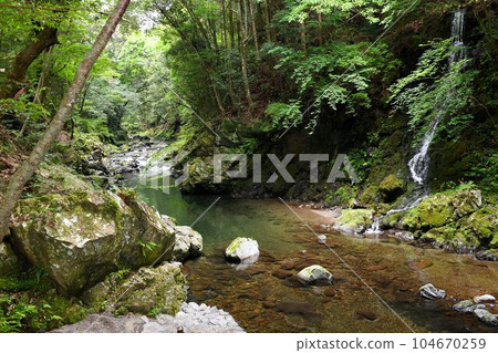 [Taiki Town: The Karako River flows through the mitarashi area of ``Kashinomiya Shiho Shrine,'' which enshrines the only guardian deity of wisdom in Japan, the Great God of Wisdom] 104670259