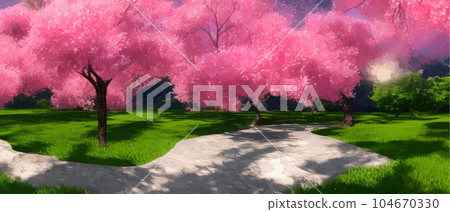Blooming flowers or sakura, cherry tree view isolated on background 104670330