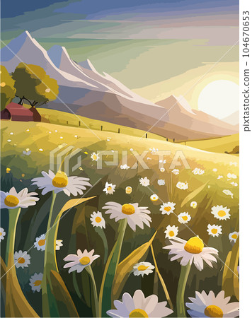 Spring landscape field white daisies blue sky and cloud in Sunny day, Panorama 104670653