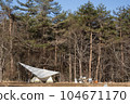 Campsite in sunny autumn forest, tarp and tent 104671170