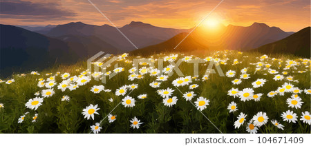 Vector illustration white chamomile flowers and grass on hills, against 104671409