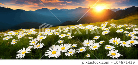 Vector illustration white chamomile flowers and grass on hills, against Vector illustration white chamomile flowers and grass on hills, against 104671439