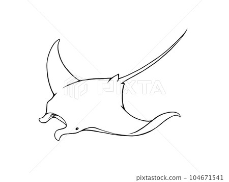 簡單的蝠鱝線畫插圖 104671541
