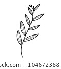 leaf  104672388