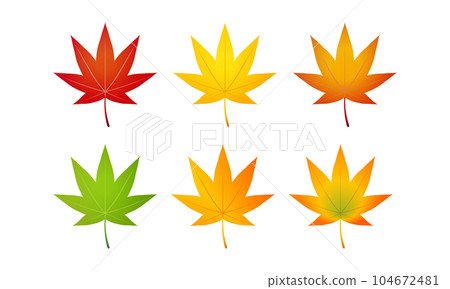 Autumn leaves Autumn leaves 104672481