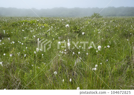 北部荒野花園 北部荒野花園 104672825