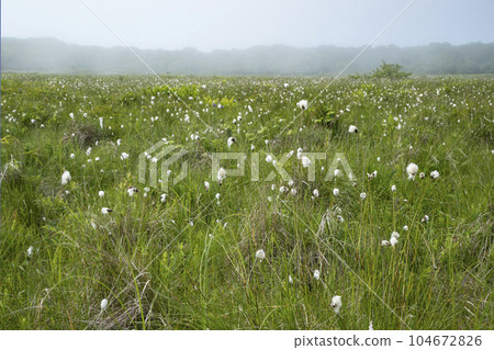 北部荒野花園 北部荒野花園 104672826