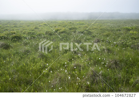 北部荒野花園 北部荒野花園 104672827