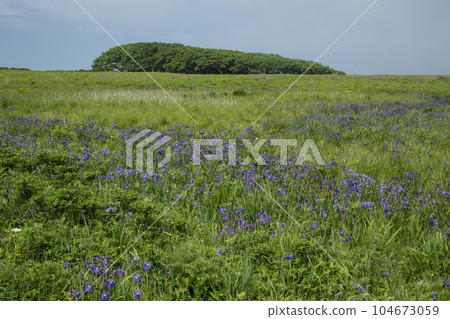 北部荒野花園 104673059