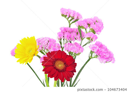 【非洲菊與靜物】(焦點堆疊) 【非洲菊與靜物】(焦點堆疊) 104673404