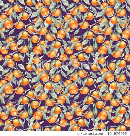Seamless watercolour citrus fruits and leaves pattern. Green leaves and orange fruits on white background. Seamless mandarin and oranges watercolour illustration 104674765