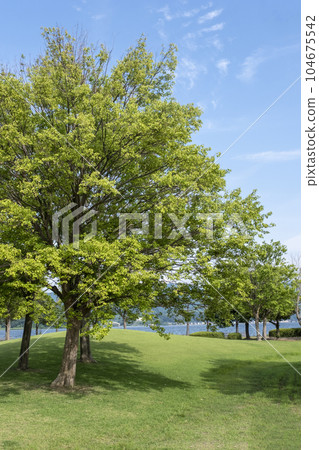 公園可欣賞湖景 104675542