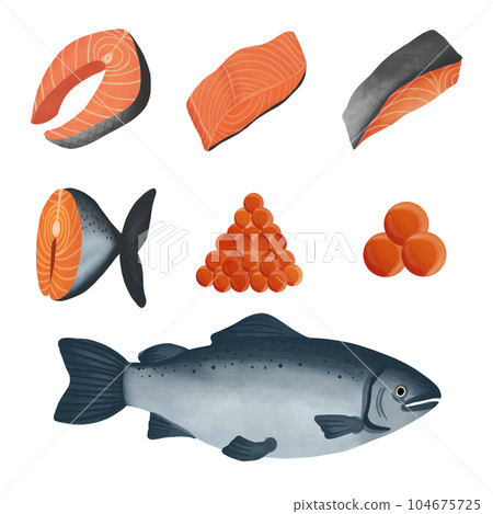 Set of cute salmon element -插圖素材 [104675725] - PIXTA圖庫