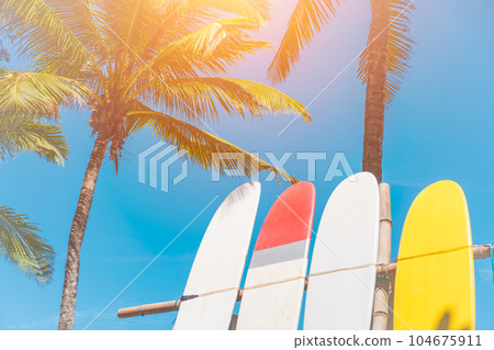 Surfboards beside coconut trees at summer beach with sun light and blue sky background. Surfboards beside coconut trees at summer beach with sun light and blue sky background. 104675911