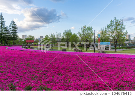 missasaga park saruwatari park kariya city missasaga park saruwatari park kariya city 104676415