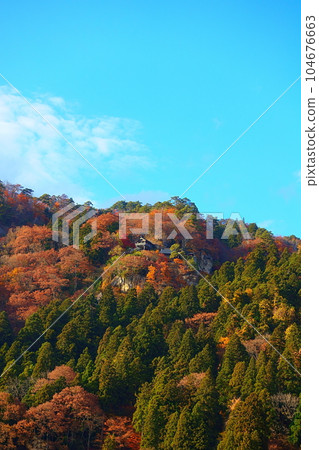 Tateishi Temple Yamadera Autumn Leaves Yellow Leaves 104676663