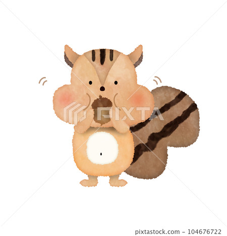 一隻吃橡子的松鼠 一隻吃橡子的松鼠 104676722