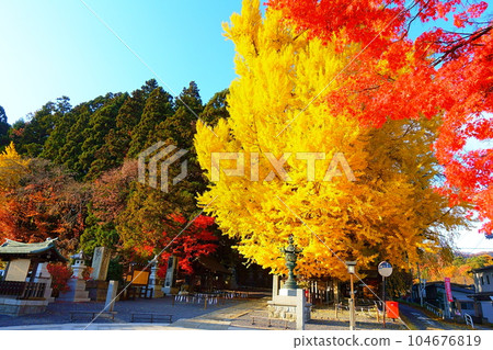 Kumano Taisha Nanyo City Koyo Koyo Kumano Taisha Nanyo City Koyo Koyo 104676819