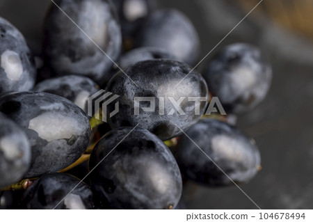 sweet ripe black grapes covered with drops of water 104678494
